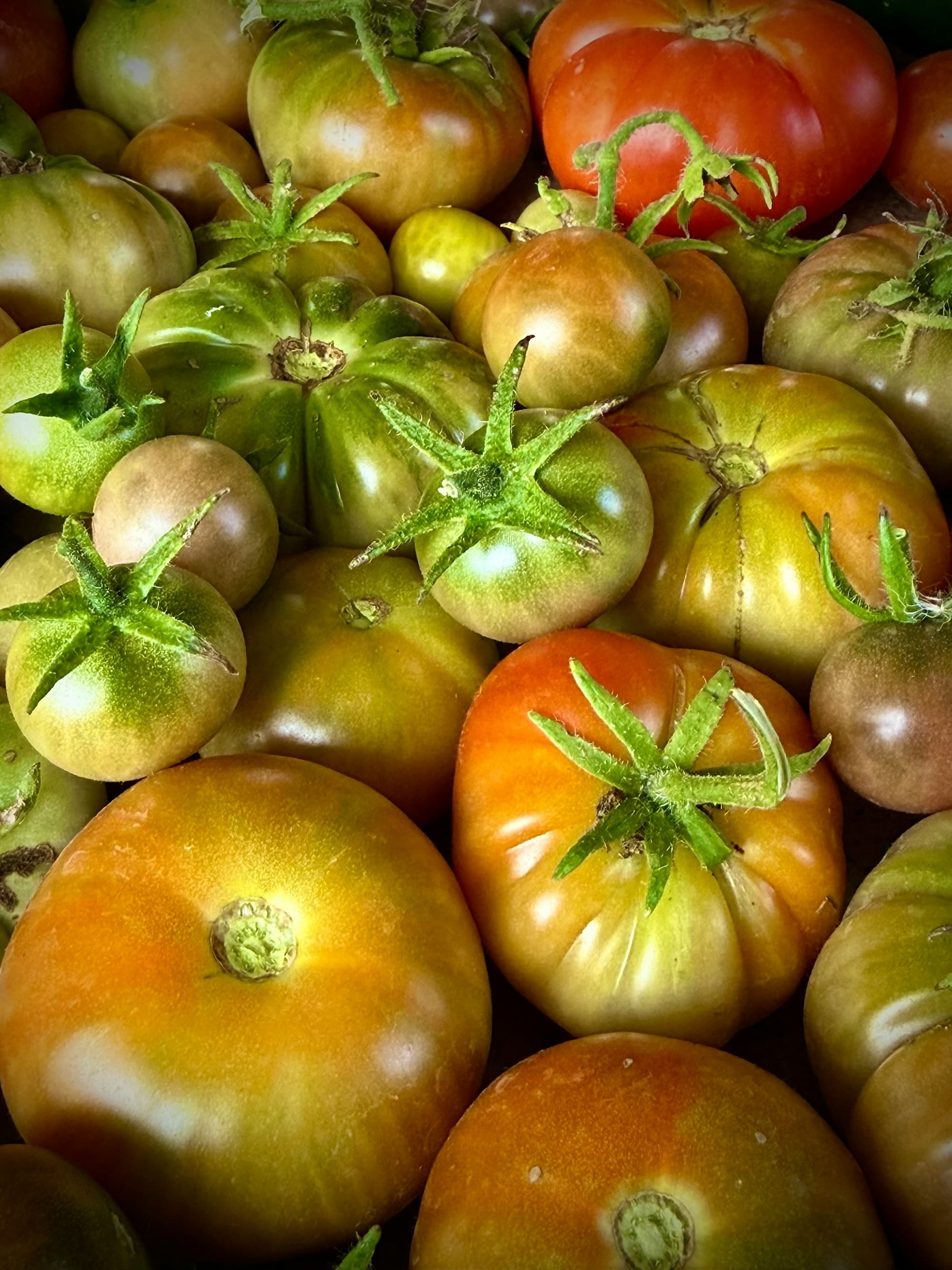 Jitomates criollos apilados