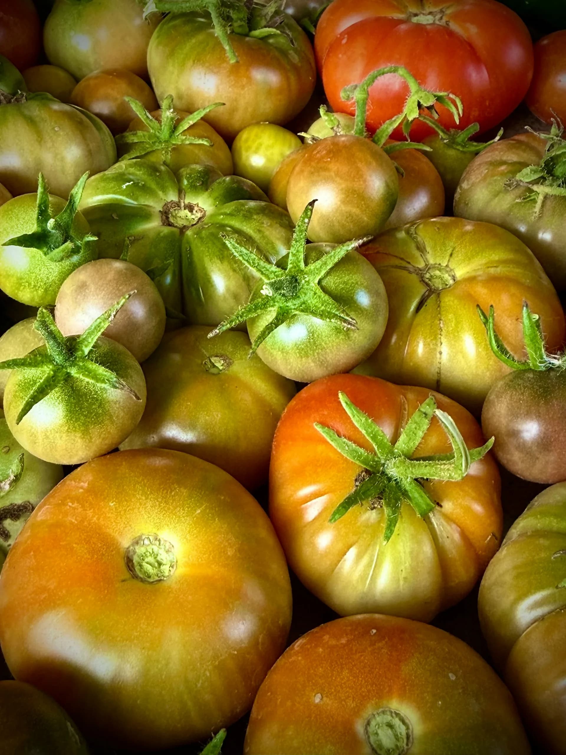 Jitomates criollos apilados