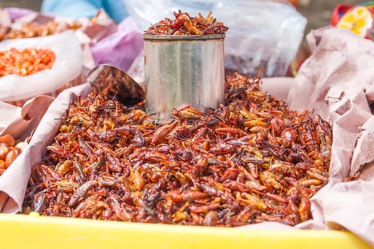 Personas en un puesto de mercado con mesas cubiertas de hierbas y alimentos