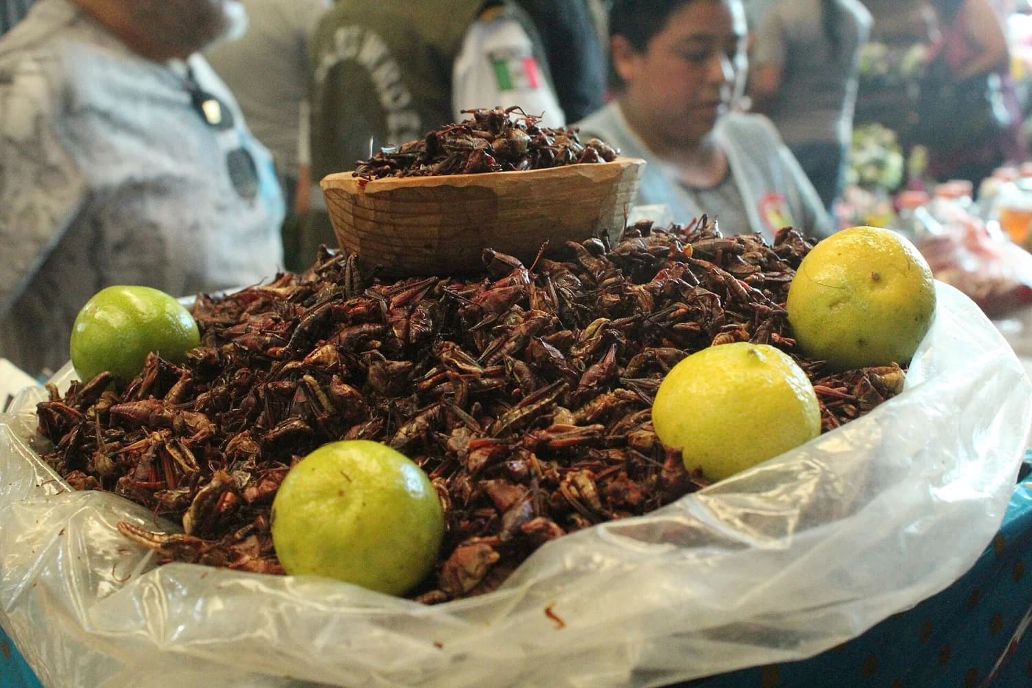 Chiles secos sobre un metate, base de muchas preparaciones con insectos