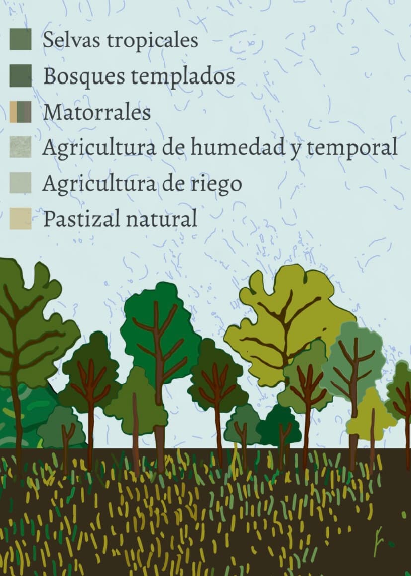Map of essential foods from the cultures of Mexico