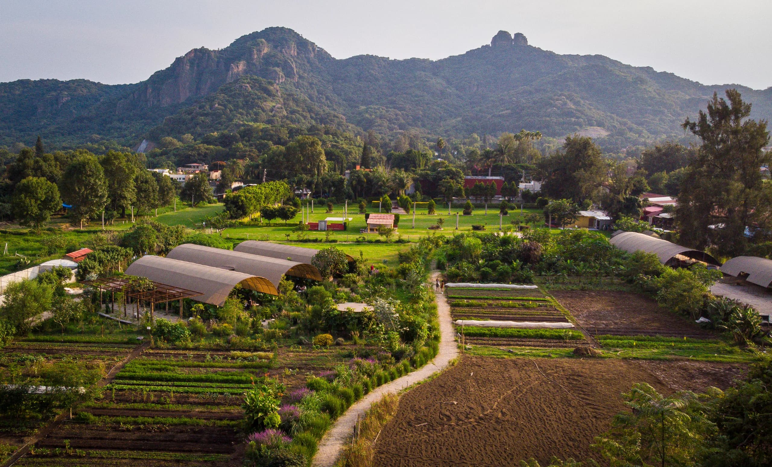 Vista panorámica del proyecto Parcela en Tepoztlán