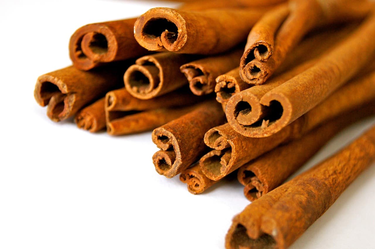 Freshly harvested cinnamon sticks